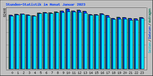 Stunden-Statistik im Monat Januar 2023