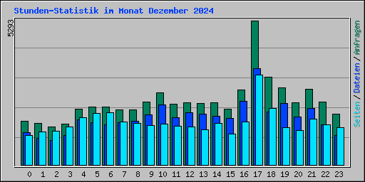 Stunden-Statistik im Monat Dezember 2024